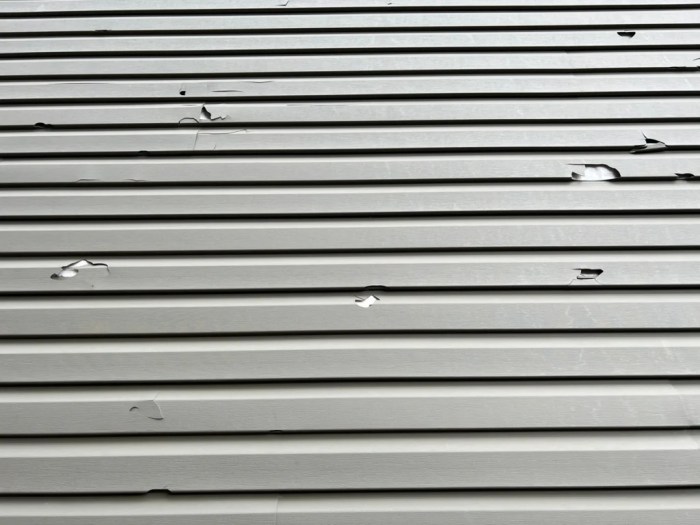 Best house siding for hail damage